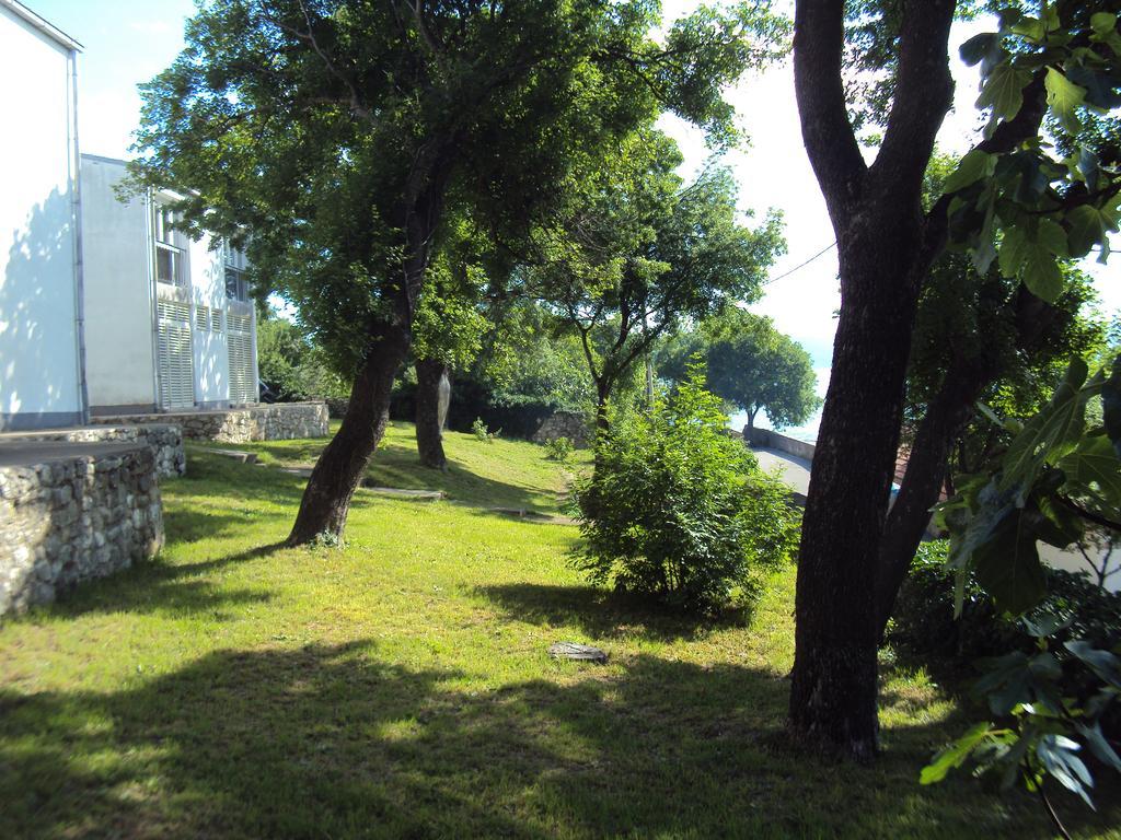 Guest House Morska Grota ポヴィレ エクステリア 写真